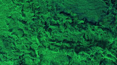 Milyonlarca Minik Yeşil Parçacık, Siyah bir zemin üzerinde girdap ve Girdap ile ekranı dolduruyor.