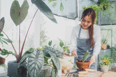 Seradaki genç kreş işçisi. Evde bahçıvanlık, bitki ve bakım sevgisi. Küçük işletme
