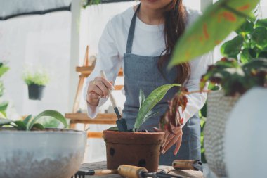 Seradaki genç kreş işçisi. Evde bahçıvanlık, bitki ve bakım sevgisi. Küçük işletme