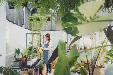 Seradaki genç kreş işçisi. Evde bahçıvanlık, bitki ve bakım sevgisi. Küçük işletme
