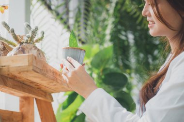 Seradaki genç kreş işçisi. Evde bahçıvanlık, bitki ve bakım sevgisi. Küçük işletme