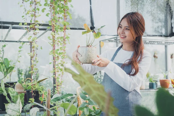 Jovem Educador Greenhouse Jardinagem Casa Amor Pelas Plantas Cuidados Pequenas — Fotografia de Stock