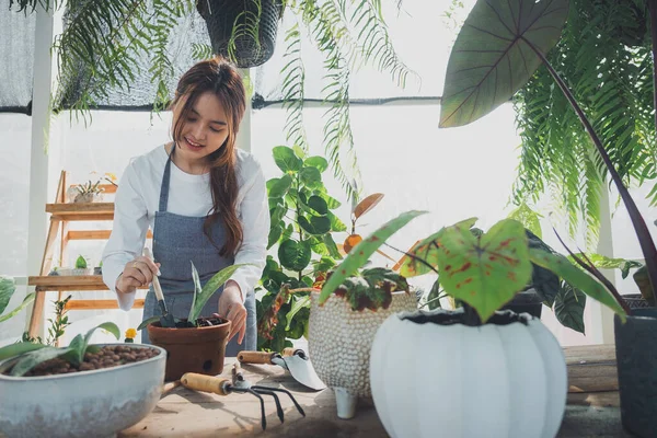 Jovem Educador Greenhouse Jardinagem Casa Amor Pelas Plantas Cuidados Pequenas — Fotografia de Stock