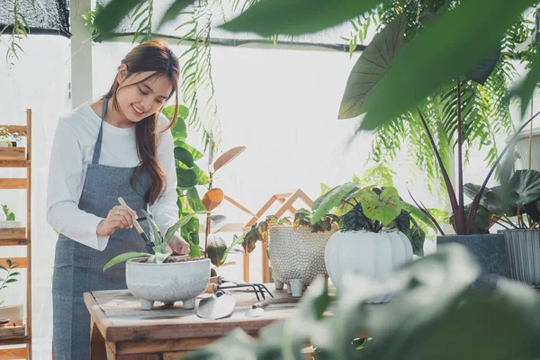 Jovem Educador Greenhouse Jardinagem Casa Amor Pelas Plantas Cuidados Pequenas — Fotografia de Stock