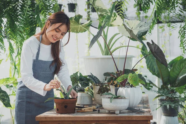 Jovem Educador Greenhouse Jardinagem Casa Amor Pelas Plantas Cuidados Pequenas — Fotografia de Stock