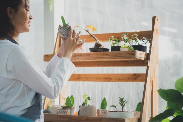 Young Nursery Worker Greenhouse Home Gardening Love Plants Care Small — Stock Photo, Image