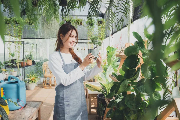 Jovem Educador Greenhouse Jardinagem Casa Amor Pelas Plantas Cuidados Pequenas — Fotografia de Stock