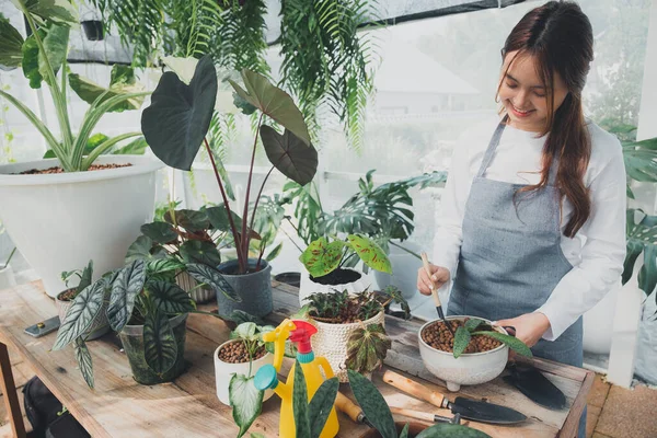 Jovem Educador Greenhouse Jardinagem Casa Amor Pelas Plantas Cuidados Pequenas — Fotografia de Stock