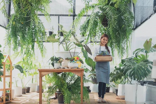 Jovem Educador Greenhouse Jardinagem Casa Amor Pelas Plantas Cuidados Pequenas — Fotografia de Stock