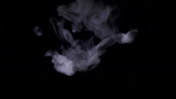 Туман Дент Дим на чорному тлі плаває в повітрі, розмивається і рясніє. — стокове відео