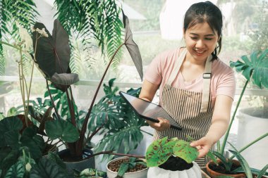 Küçük bir fabrikanın mutlu sahibi...
