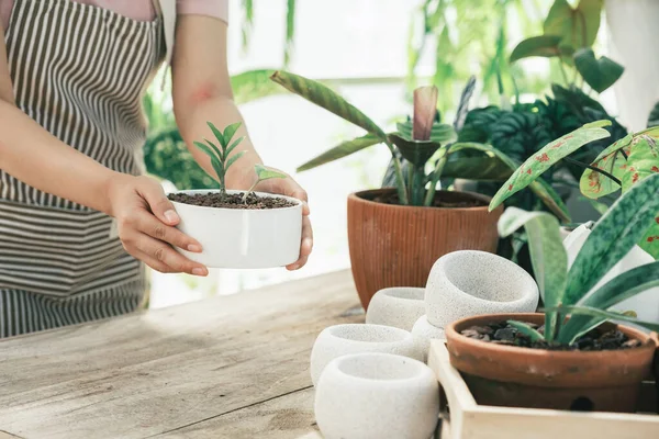 Feliz proprietário de uma pequena empresa em uma loja de plantas.. — Fotografia de Stock