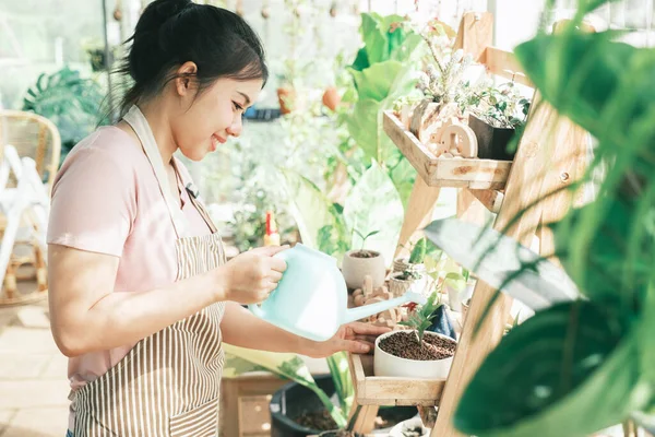 Young woman plant owner shop watering plants in a plant shop. — Stock Photo, Image