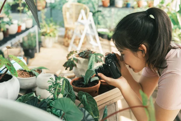 Smiling Young Woman Florist Entrepreneur Taking Pictures Potted Plants Phone — Stock Photo, Image