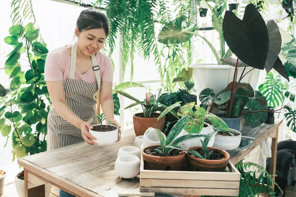 Retrato Uma Jovem Sorridente Segurando Uma Planta Uma Pequena Loja — Fotografia de Stock