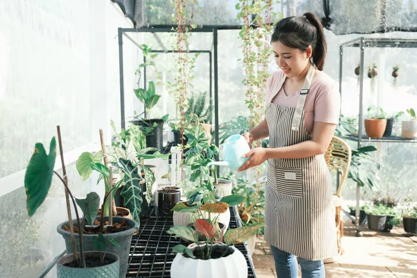 Mulher Jardineiro Regando Planta Sala Envasada Estufa Cercada Por Plantas — Fotografia de Stock