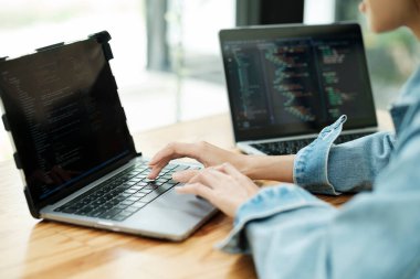 Genç programcı ya da bilişim uzmanı yaptığı işten memnun. Ofisinde çalışırken dizüstü bilgisayarda çalışan mutlu genç bir kadın..