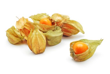 phisalis egzotik meyve