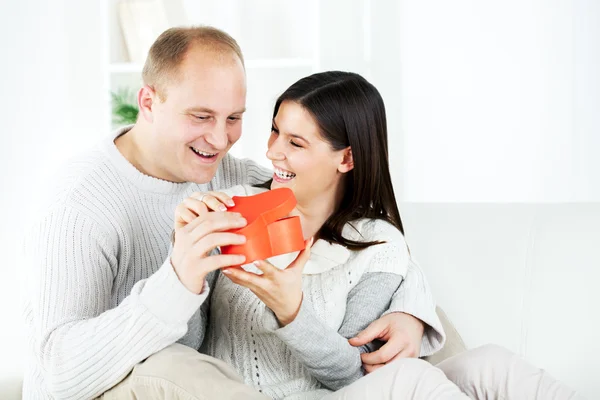 The valentine's day — Stock Photo, Image