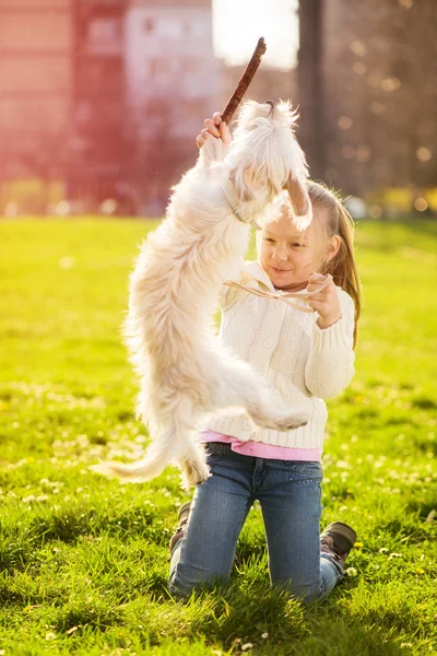 リトル少女と子犬犬 — ストック写真