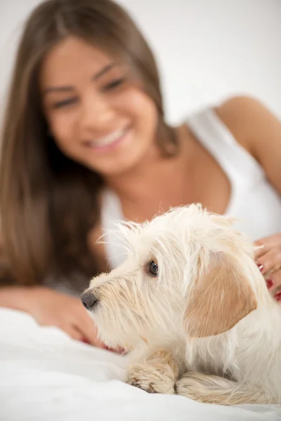 Cute girl and dog in the morning — Stock Photo, Image