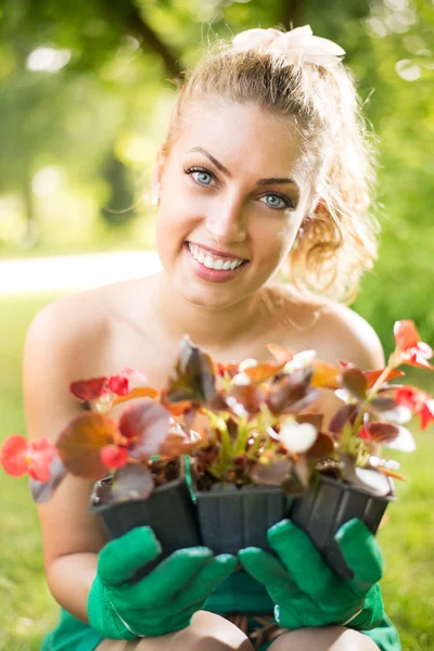 Schöne Frau pflanzt Blumen — Stockfoto