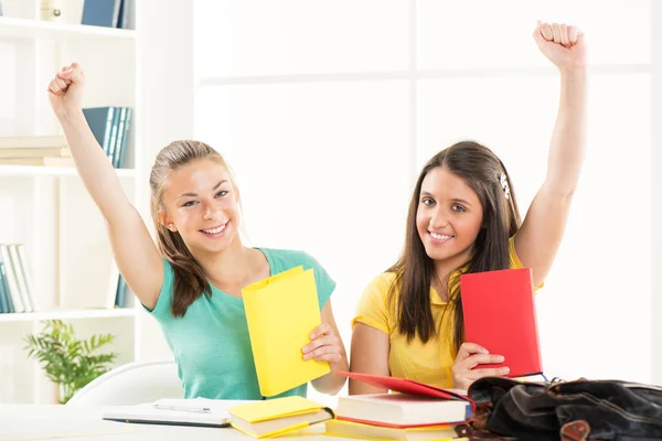 Two Female students — Stock Photo, Image