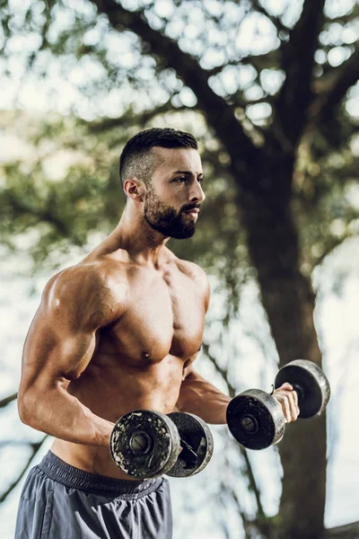 Svalnatý Mladý Muž Nahým Trupem Dělá Biceps Cvičení Činkami Přírodě — Stock fotografie