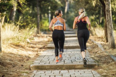 Rear view of a two women are jogging through the pine forest and enjoying in summer sunny day.