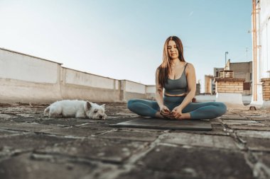 Relaxed woman practicing yoga on a rooftop terrace at sunset supporting by her pet dog.