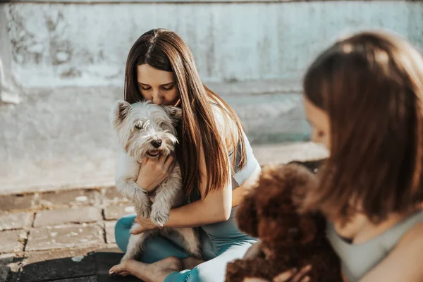 Two young women playing with their dog pets while doing yoga training on a rooftop terrace.