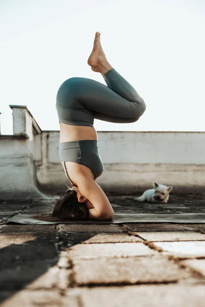 Relaxed Woman Practicing Yoga Headstand Rooftop Terrace — Fotografia de Stock