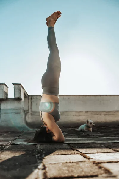 Relaxed Woman Practicing Yoga Headstand Rooftop Terrace Sunset — 图库照片
