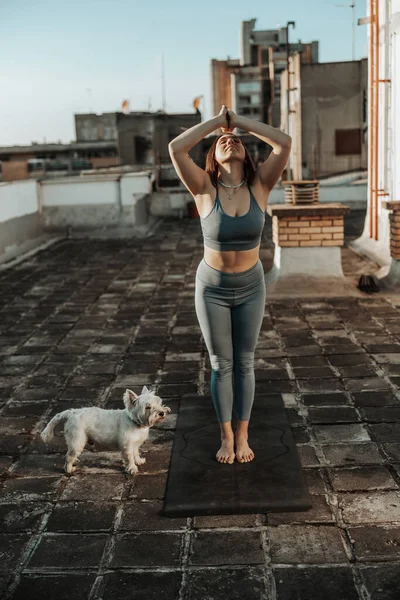 Relaxed Woman Practicing Yoga Stretching Exercise Rooftop Supporting Her Pet — Stockfoto