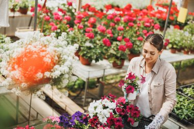 Smiling young woman working in a garden center, holding crate and arranging flower pots with beautiful colorful flowers.