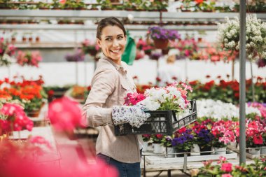 Smiling young woman she holding crate with beautiful flowers in a garden center or plant nursery.