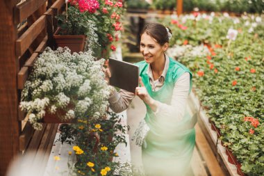Young florist woman using digital tablet while checking flowers in a greenhouse. Woman entrepreneur.