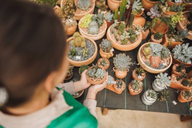 An unrecognisable woman entrepreneur taking care of potted succulent plants in a garden center.