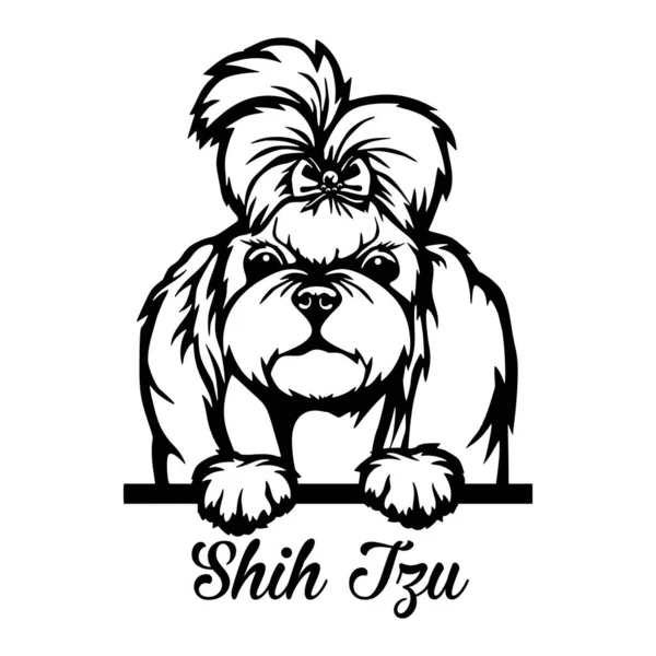 Shih Tzu Dikizci Köpek - kafası beyazın üzerinde izole edilmiş — Stok Vektör