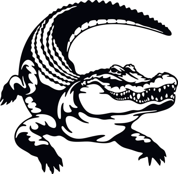 Timsah, timsah, vahşi sürüngenler. Vahşi yaşam şablonu. Evcil hayvan ve tropikal hayvan.