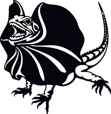 Iguana saldırıyor, vahşi sürüngenler. Vahşi yaşam şablonu. Evcil hayvan ve tropikal hayvan.