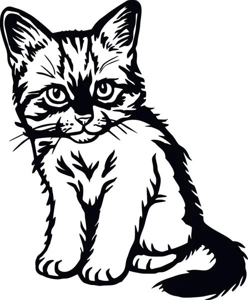Kotimainen kissa, tirkistelevä kissanpentu - Iloinen kissanpentu eristetty valkoisella - vektorikanta — vektorikuva