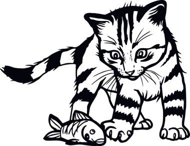 Evcil kedi, dikizci kedi, neşeli kedi, beyazı soyutlamış.