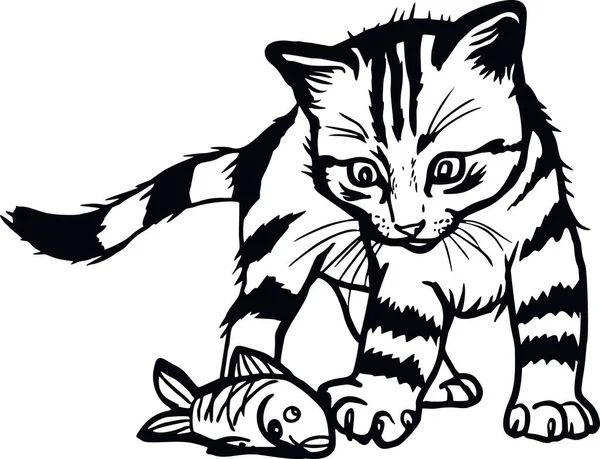 Házi macska, kukkoló cica - Vidám cica elszigetelt fehér - vektor állomány — Stock Vector