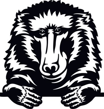 Röntgenci Babun - Komik Vahşi Hayvan dikiz aynası - beyaz bir yüzle izole edilmiş.