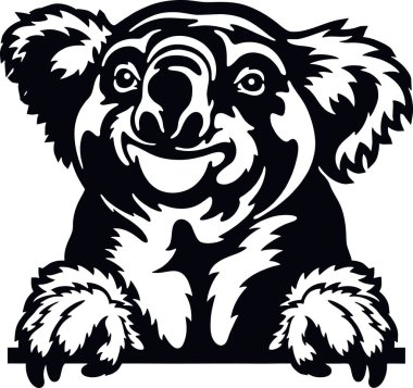 Röntgenci Koala - Komik Vahşi Hayvanın dikizlemesi - beyaz kafayla izole edilmiş.