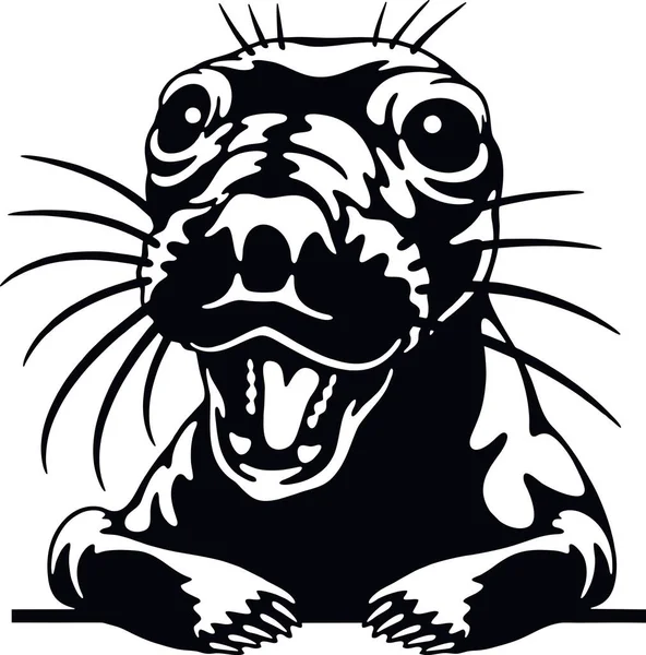 Seeking Seal - Funny Wild Animal peeking out - face head isolated on white — стоковый вектор