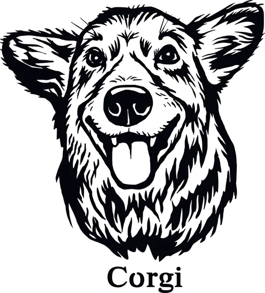 Corgi - Komik Köpek, Vektör Dosyası, Tişört için Şablonu Kes