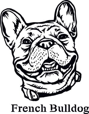Fransız Bulldog - Komik Köpek, Vektör Dosyası, Tişörtün Şablonunu Kes