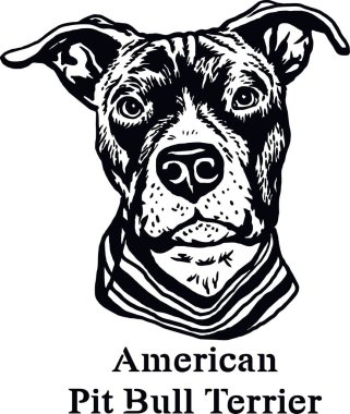 Amerikan Pitbull Terrier - Komik Köpek, Vektör Dosyası, Tişört Şablonunu Kesme